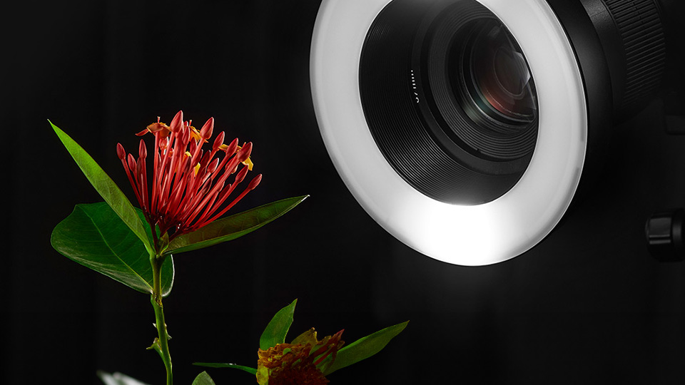 Godox MF-R76 Macro Ring Flash Godox MF-R76 Macro Ring Flash