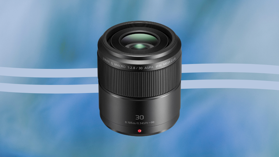 Panasonic LUMIX G Macro 30mm f/2.8 ASPH MEGA O.I.S. Lens&nbsp;