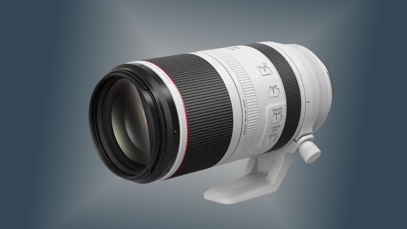 Canon RF 100-500 f/5.6-7.1L IS USM
