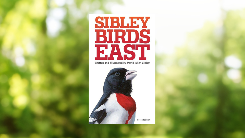 Sibley Guides Book: Sibley Birds East (2nd Edition)