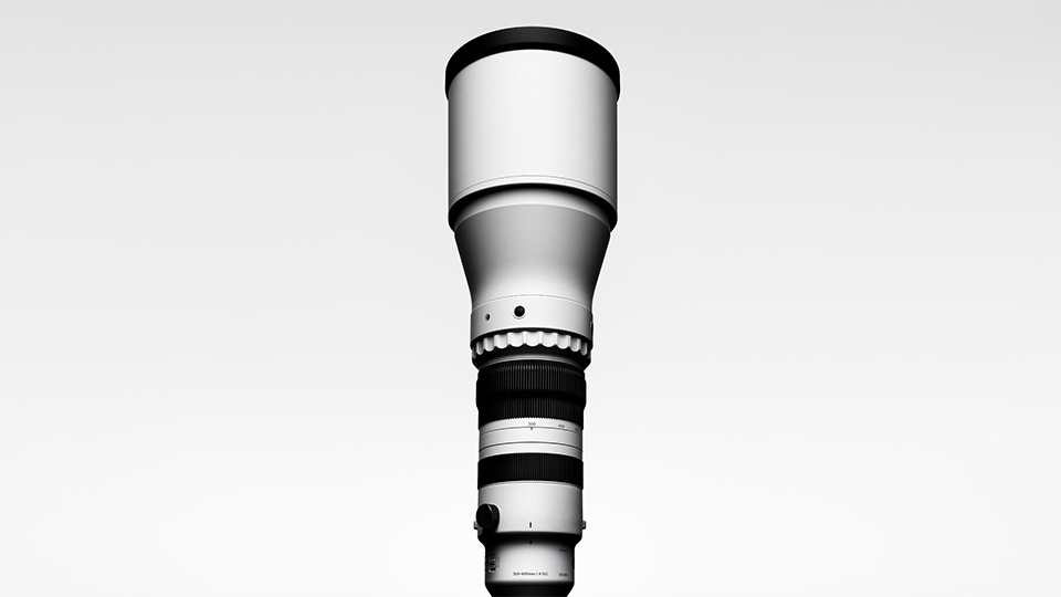 Sigma 300-600mm f/4 DG OS Sports Lens