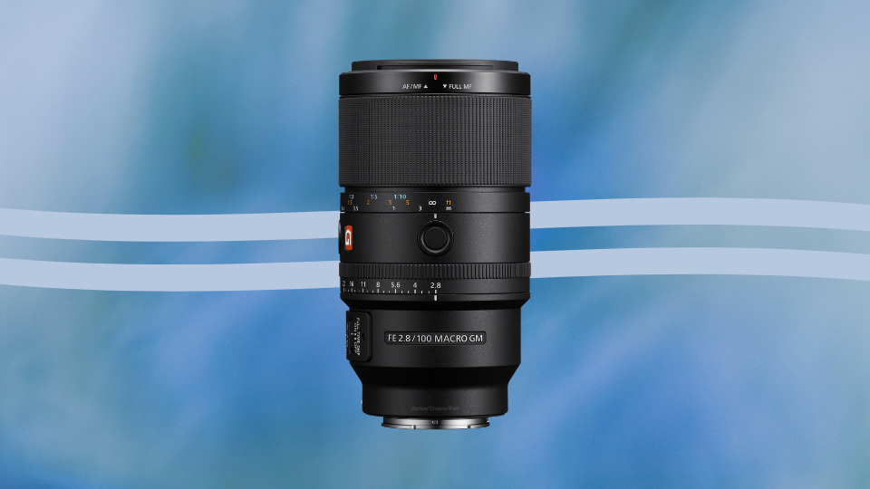 Sony FE 100mm f/2.8 Macro GM Lens
