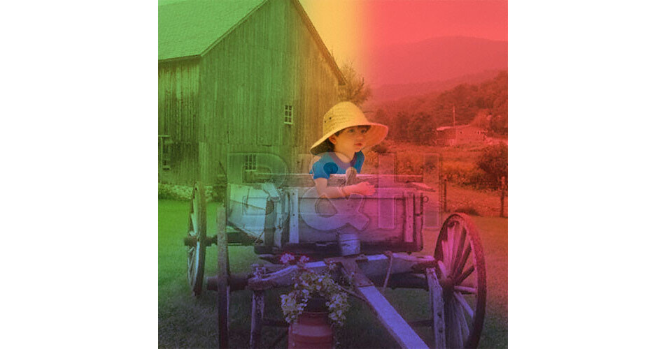 Hoya 72mm Solas Irnd 1.2 Filtro (4-stop) | Cuotas sin interés