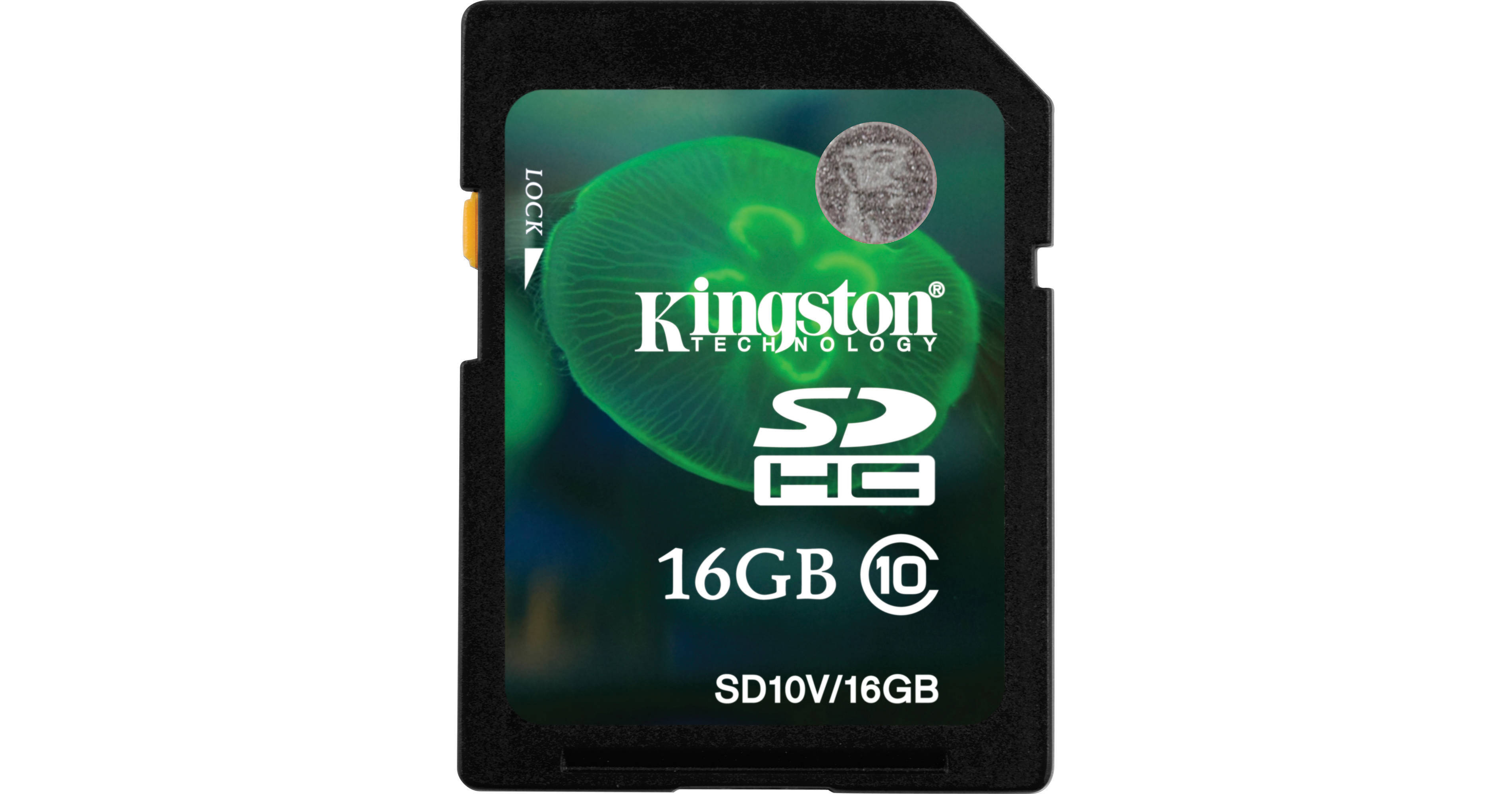 K1 Kingston 16GBセット！BIOSチェック✅済み Kingston 16GB SDHC Memory Card Class 10 SD10V/16GB B&H Photo