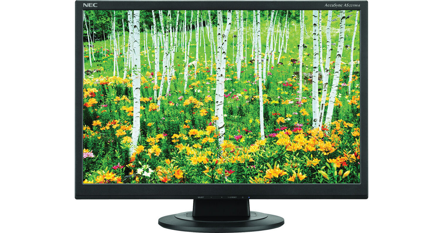 NEC AccuSync AS191WM-BK 19