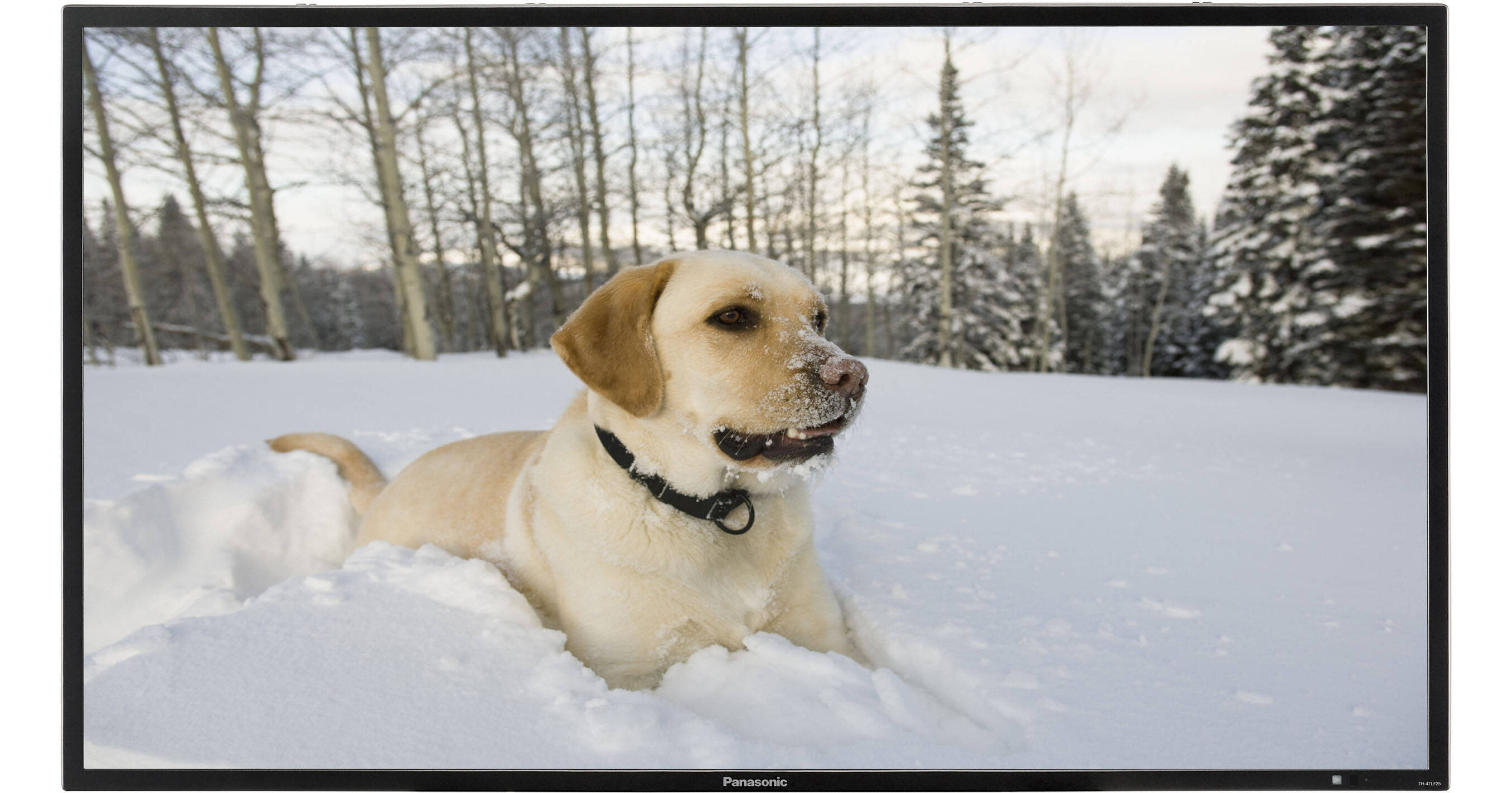 Panasonic TH-47LF30U 47