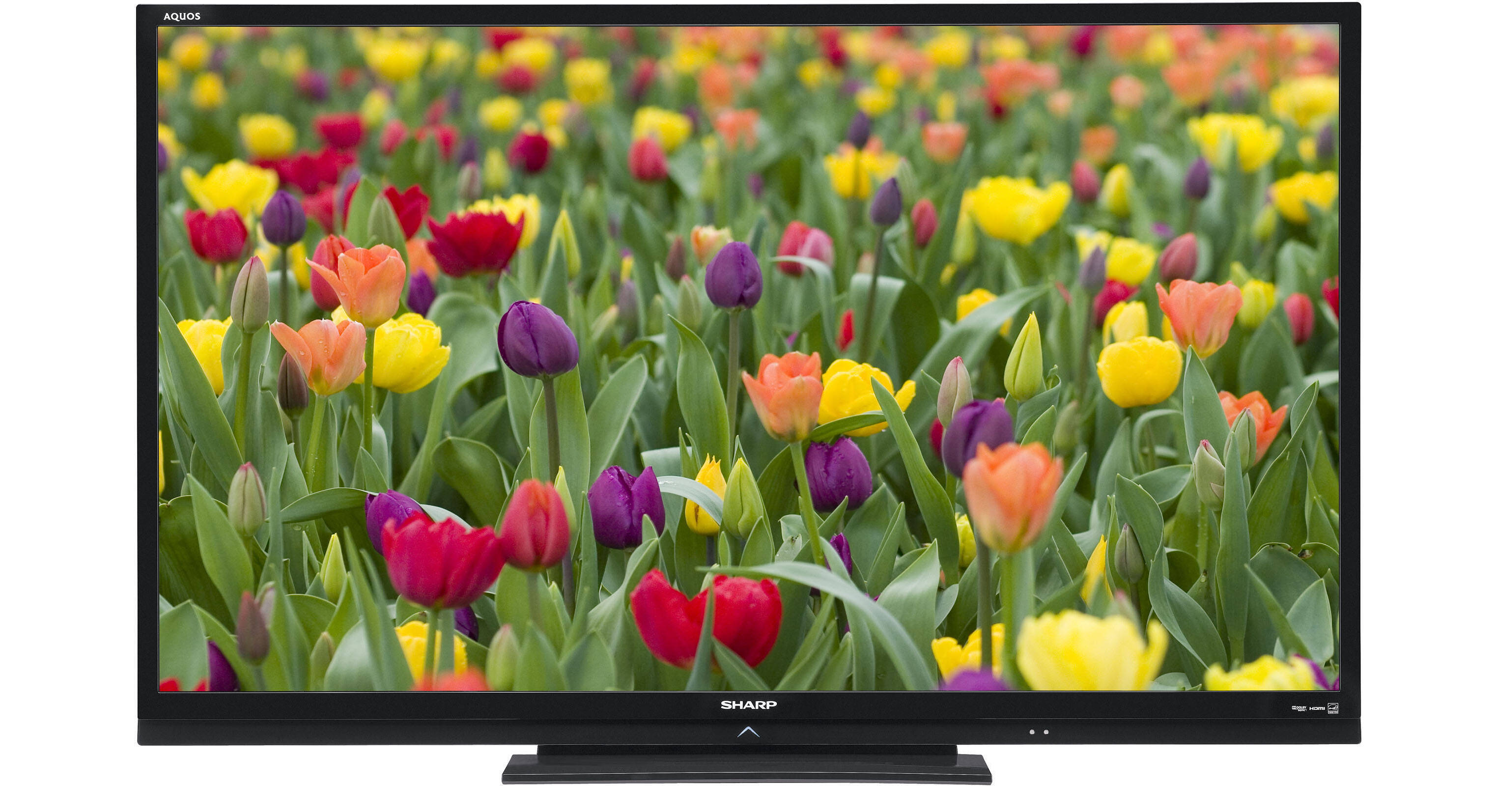 Sharp LC-60LE630M 60