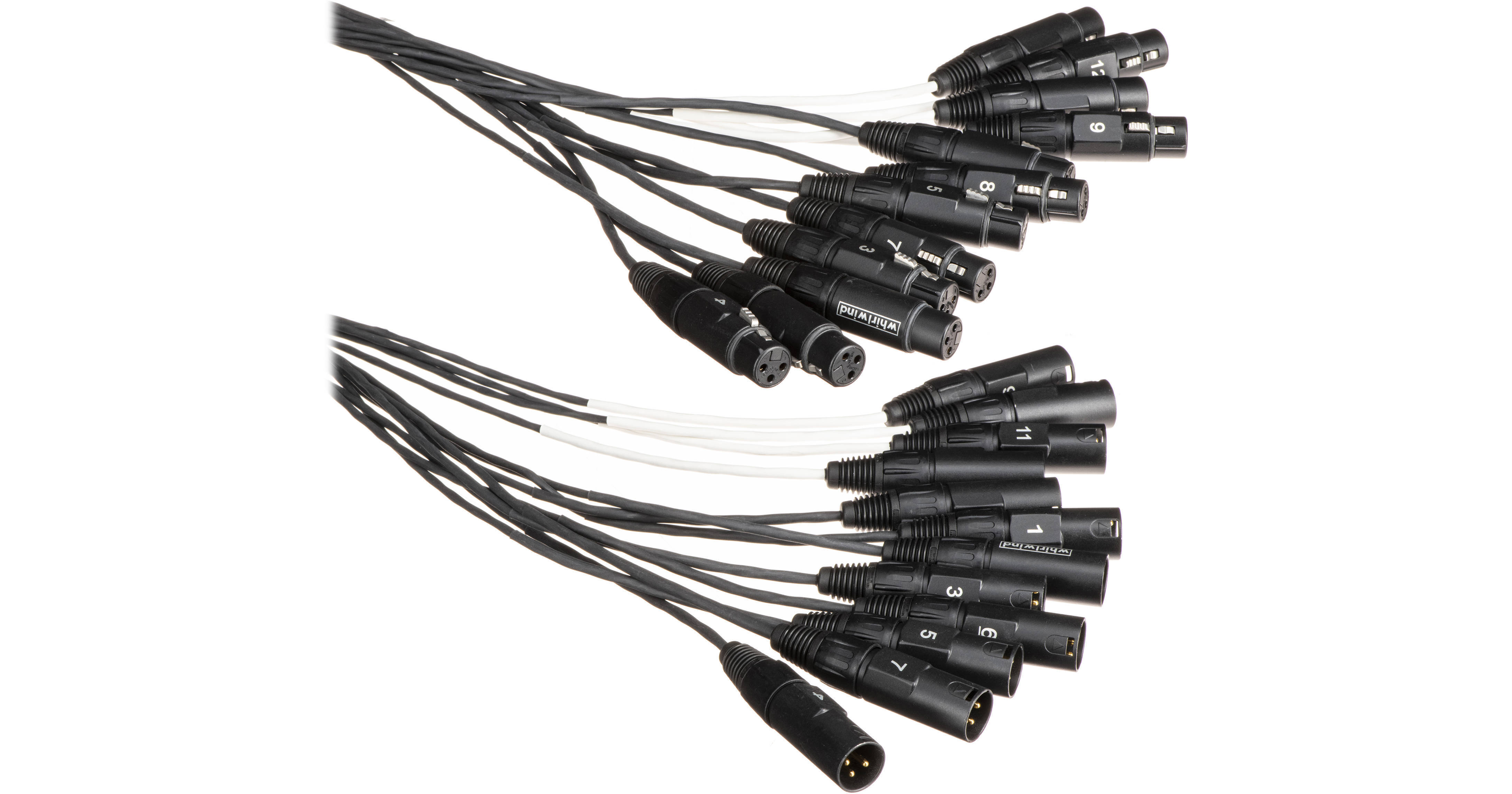 Whirlwind Medusa 12-Channel Multitrack XLR Audio MT-12-F-M-10