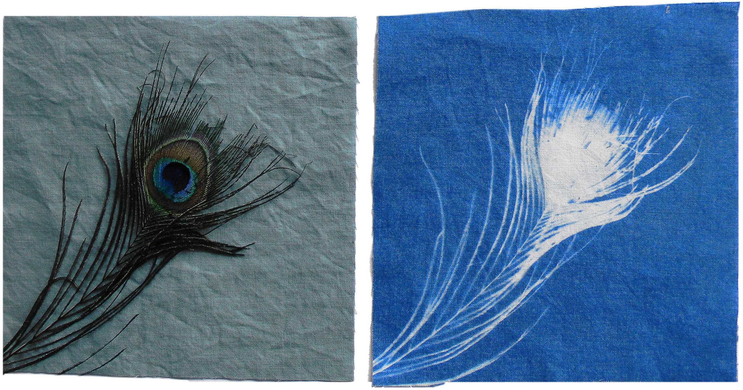 Cyanotype Store Cyanotype Cotton Squares 1613812 B&H Photo Video