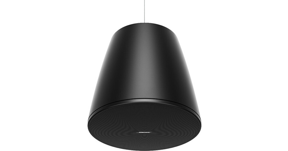 Bose Professional DesignMax DM10P-SUB 10
