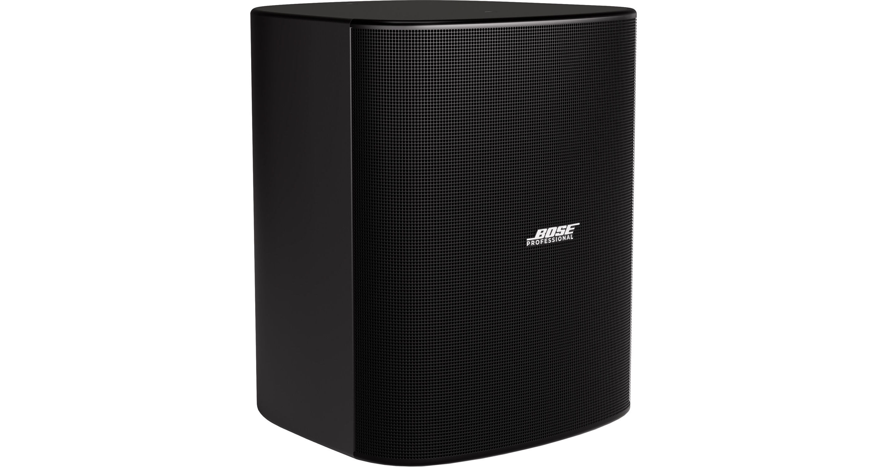 Bose Professional DesignMax DM12S 12