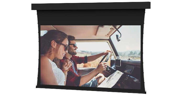 Da-Lite Professional Tensioned/E 226"/HDTV - PRLX STR 1.0 14166E
