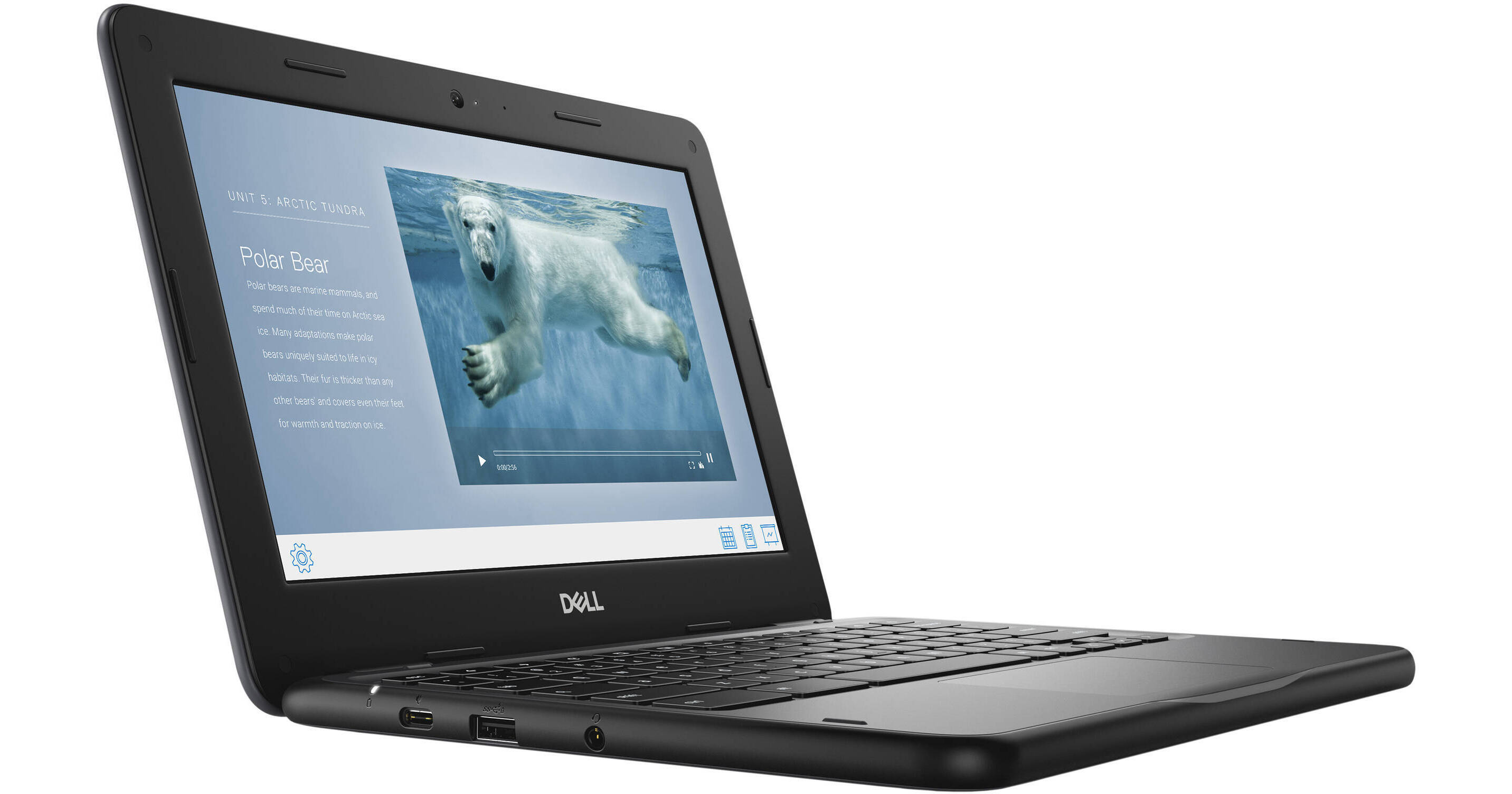 Dell 11.6