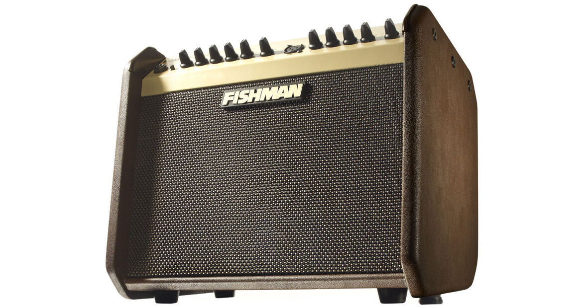 Fishman Loudbox Mini 60W Acoustic Combo Amplifier PRO-LBX-500