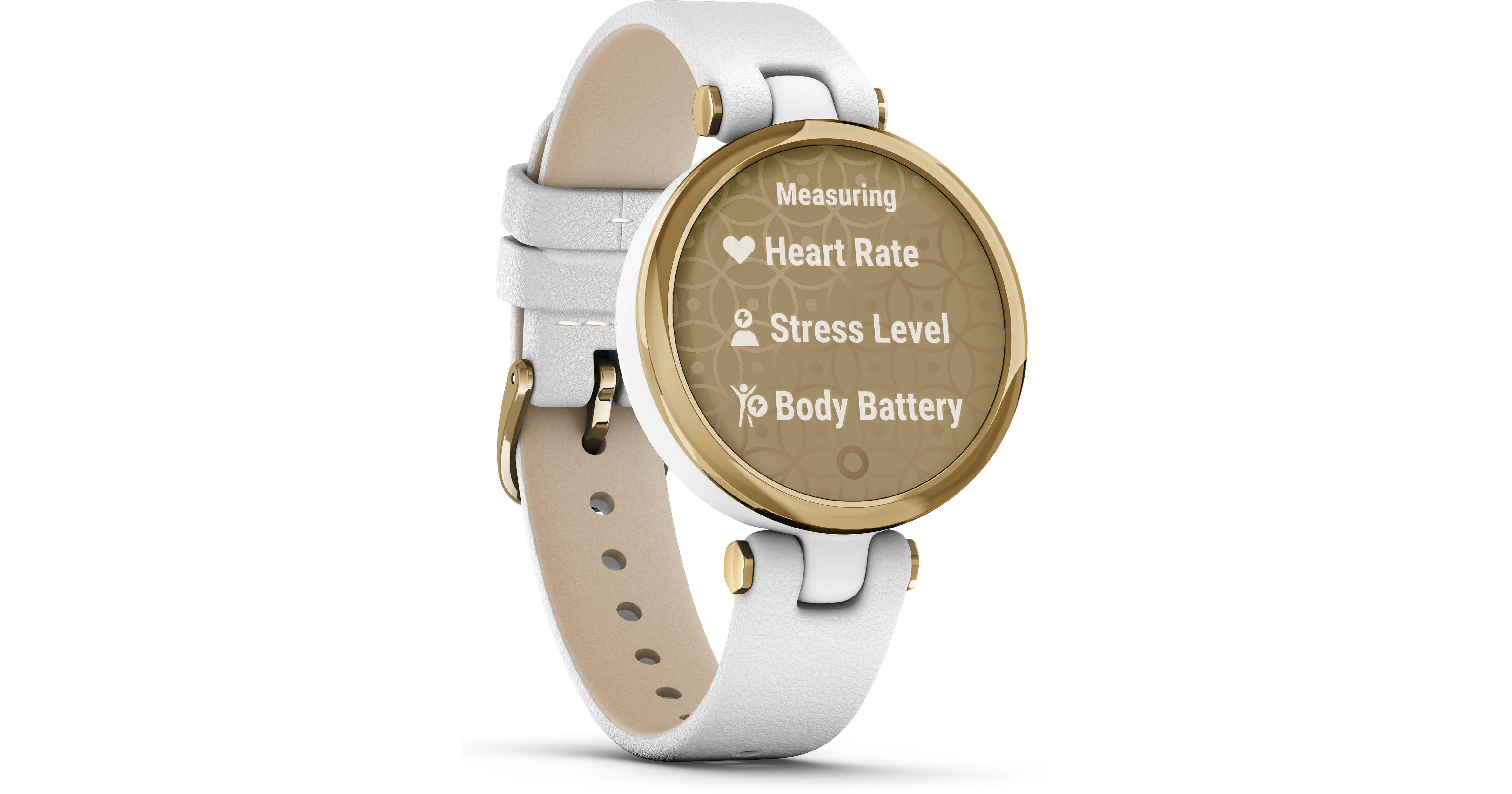 Garmin Lily GPS Smartwatch 010-02384-A3 B&H Photo Video