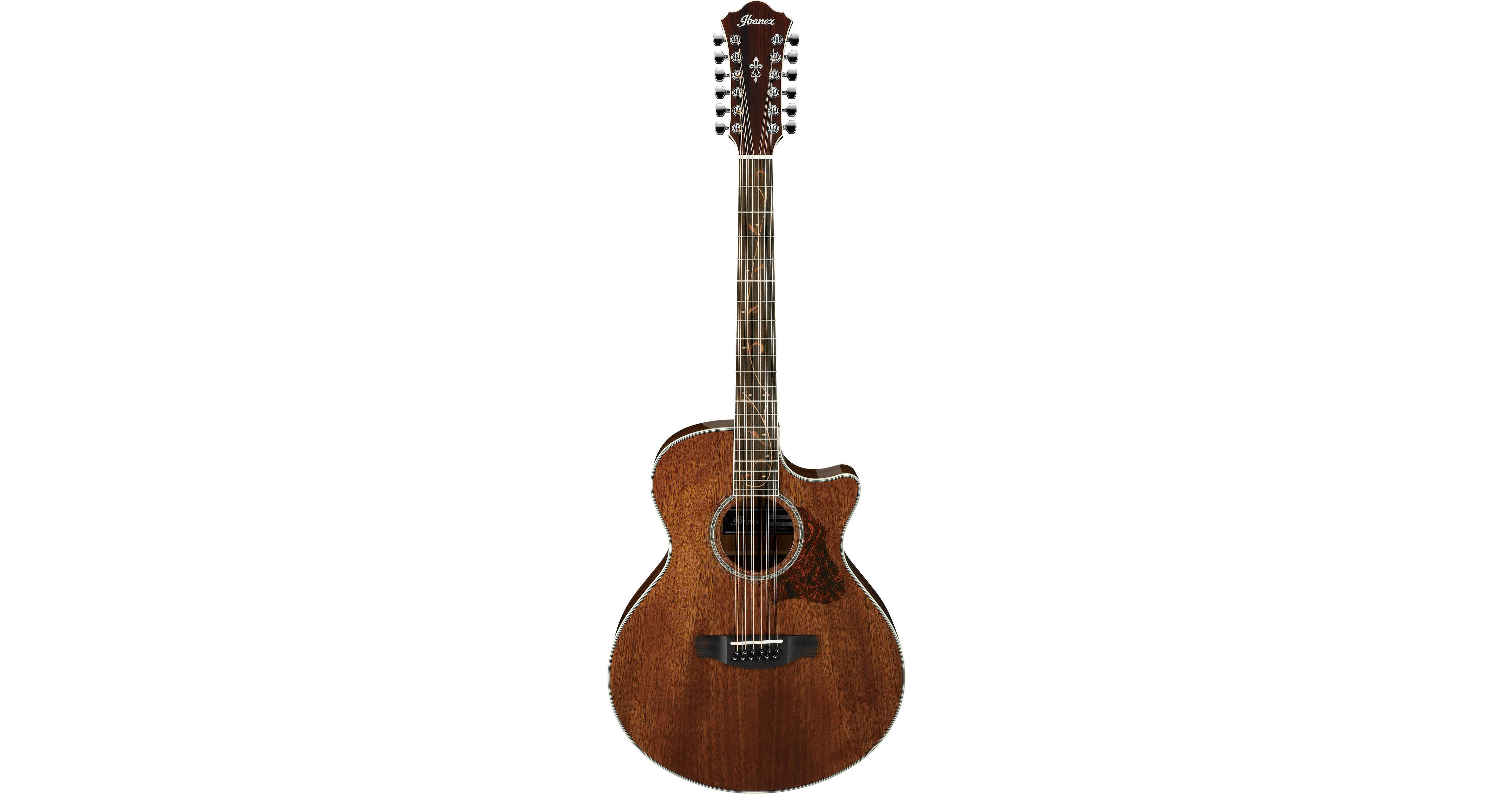 Ibanez AE2412 AE Series 12-String Acoustic/Electric AE2412NT B&H