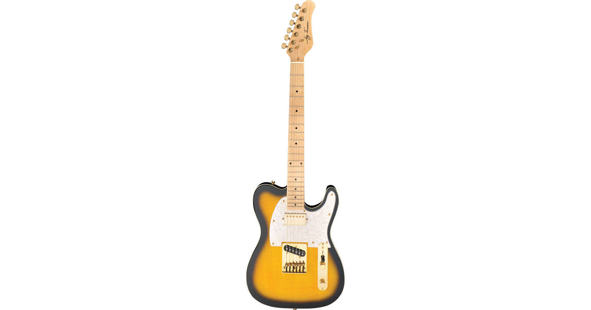 Jay Turser JT-LTCUSTOMDLX LT Series Electric JT-LTCUSTOMDLX-ANS