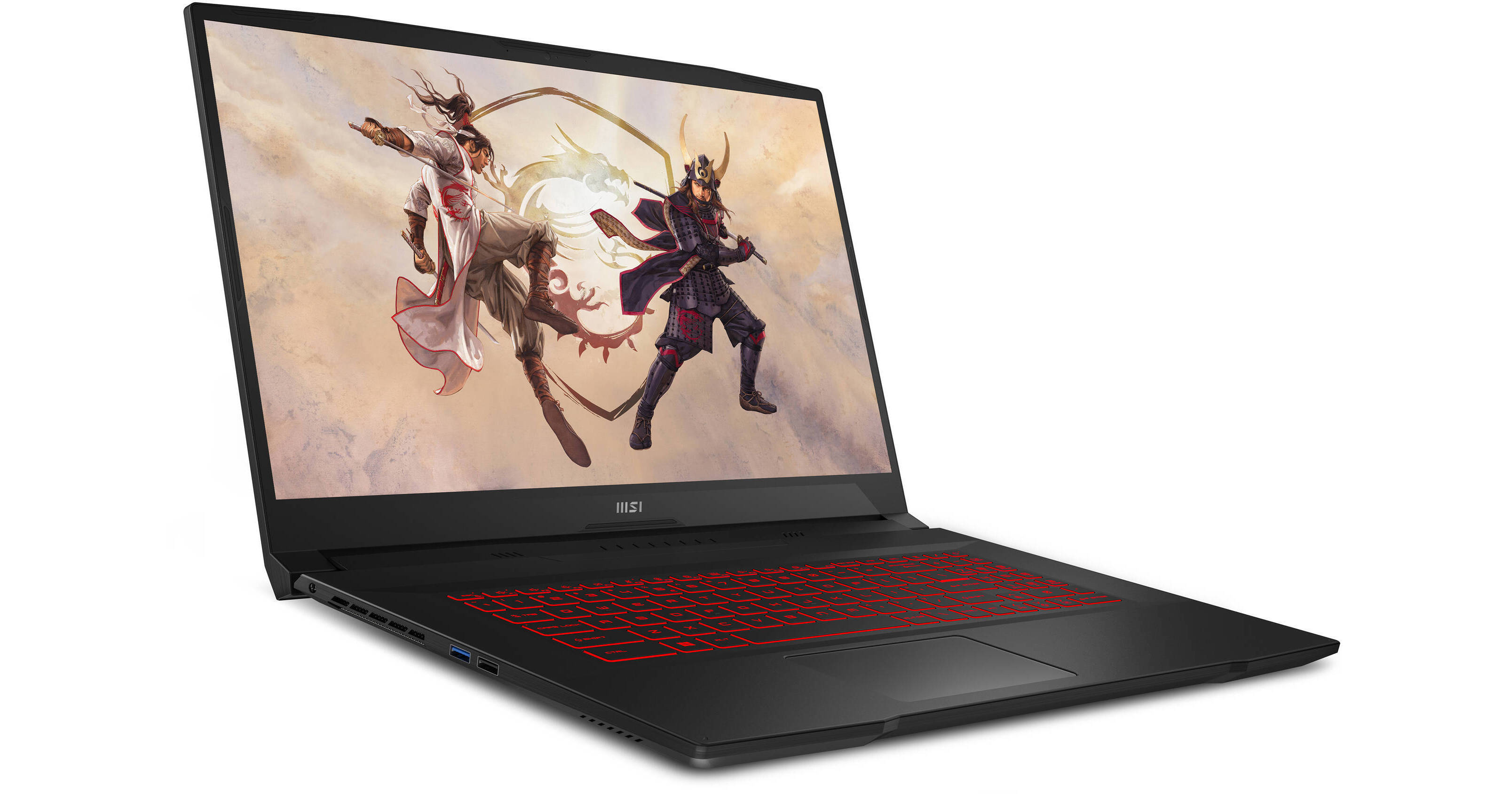 MSI 17.3