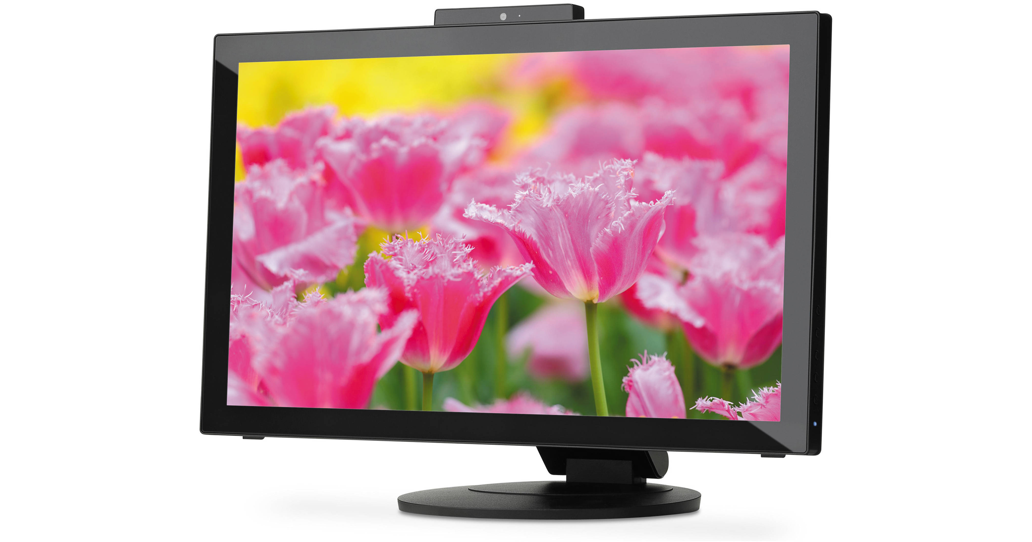 NEC MultiSync E232WMT 23