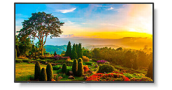 Sharp MultiSync M551 55