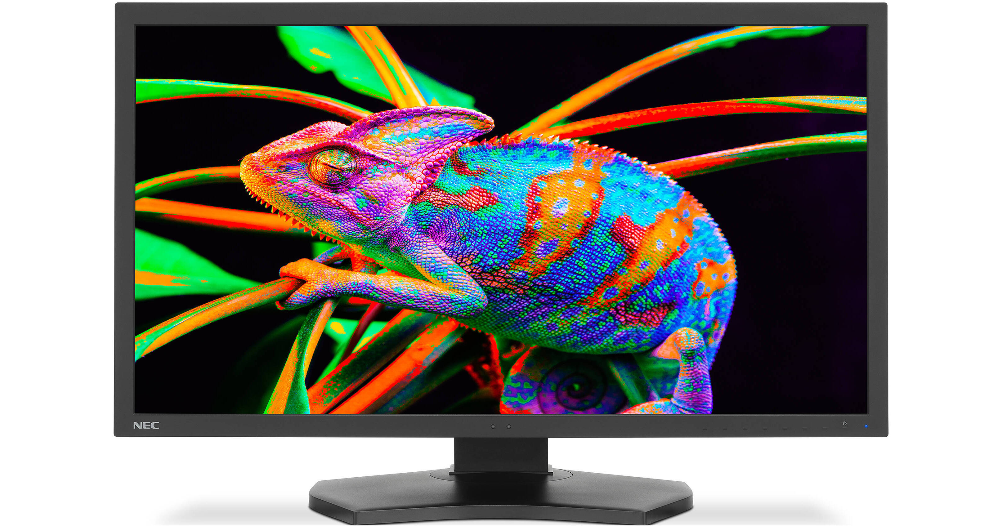 NEC MultiSync PA311D 31.1