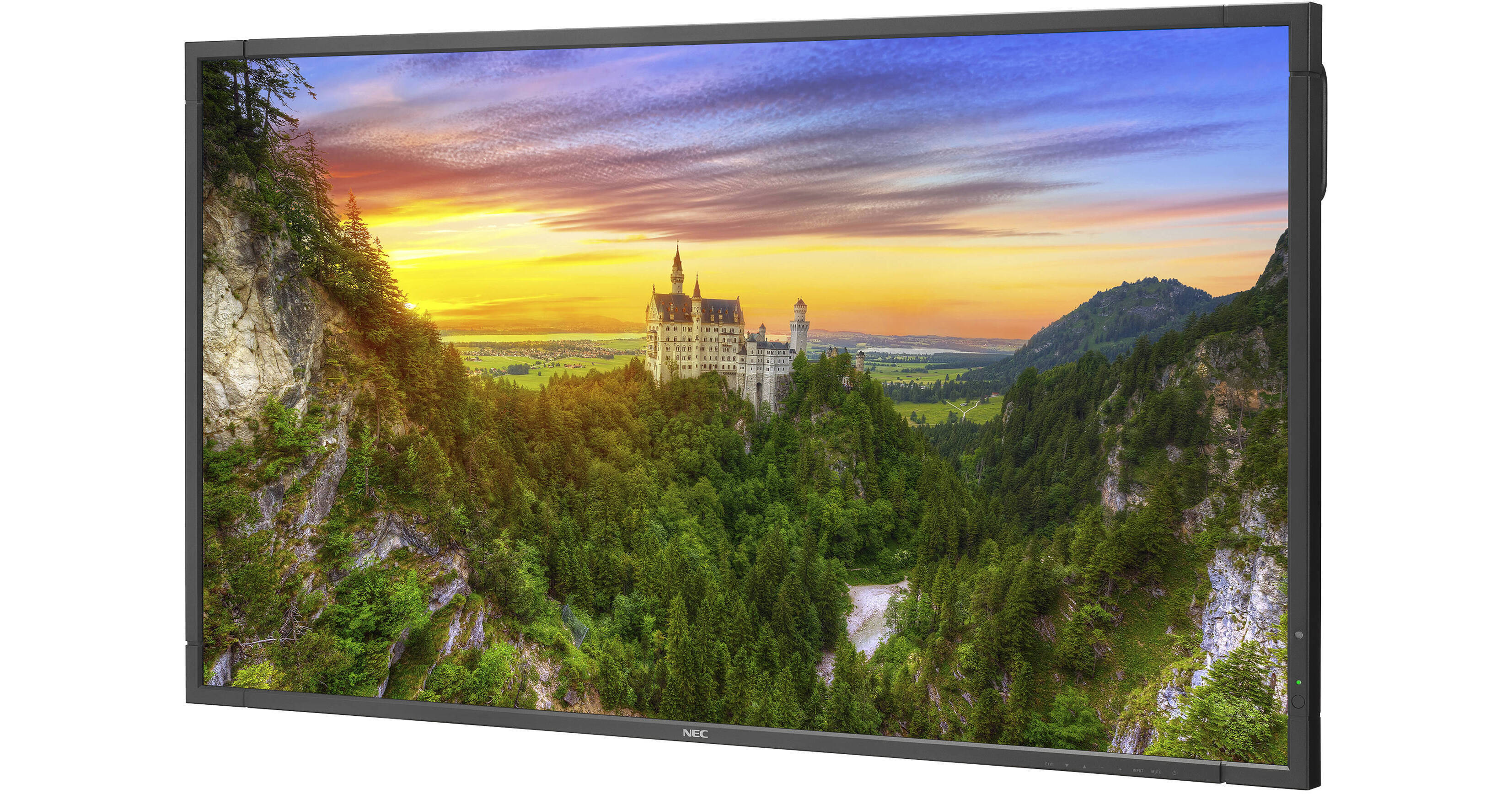 NEC MultiSync X981UHD-2 98