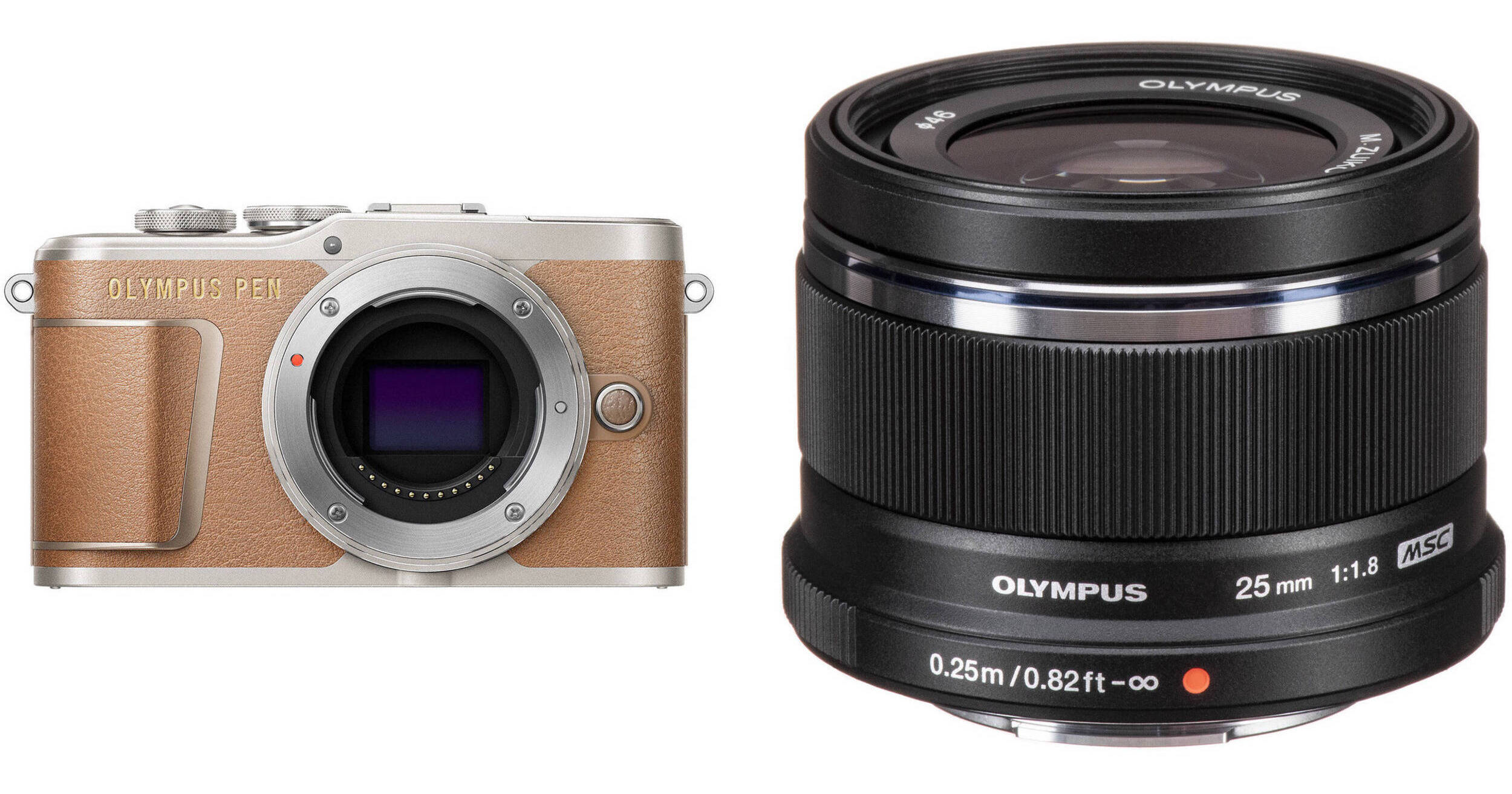 Olympus PEN E-PL9 Mirrorless Digital Camera with 25mm f/1.8 Lens