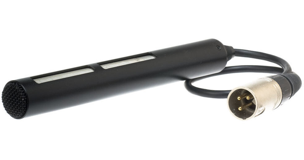Panasonic AG-HMC41E with Mic Adapt and Mic Opt. - AVCCAM 12x Leica Stab