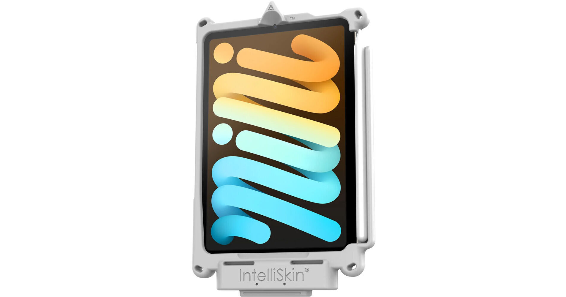 RAM IntelliSkin for the Apple iPad mini 2 & 3 (sku 57154) main image 0