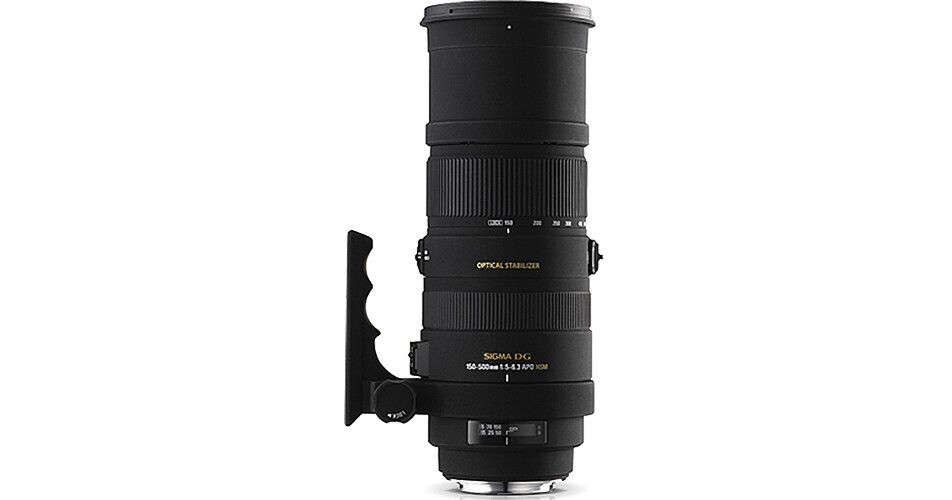 美品SIGMA D.C 150-500mm F5-6.3 APO HSMニコン Amazon.com : Sigma 150-500mm f/5-6.3 AF APO DG OS HSM Telephoto