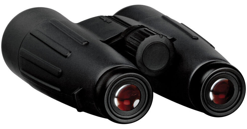 ZEISS 8x56 Victory T* FL Binocular 525208-0000-000 B&H Photo