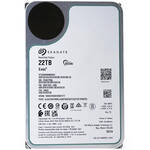 Seagate SkyHawk AI 22TB