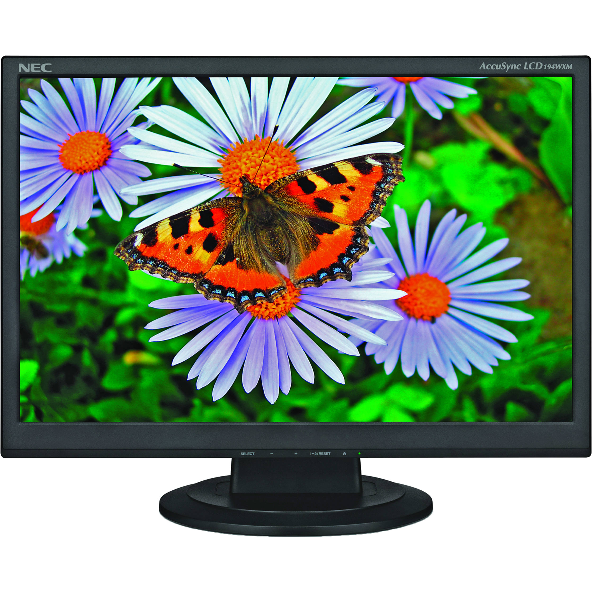 NEC AccuSync 19" Widescreen LCD Monitor ASLCD194WXMBK