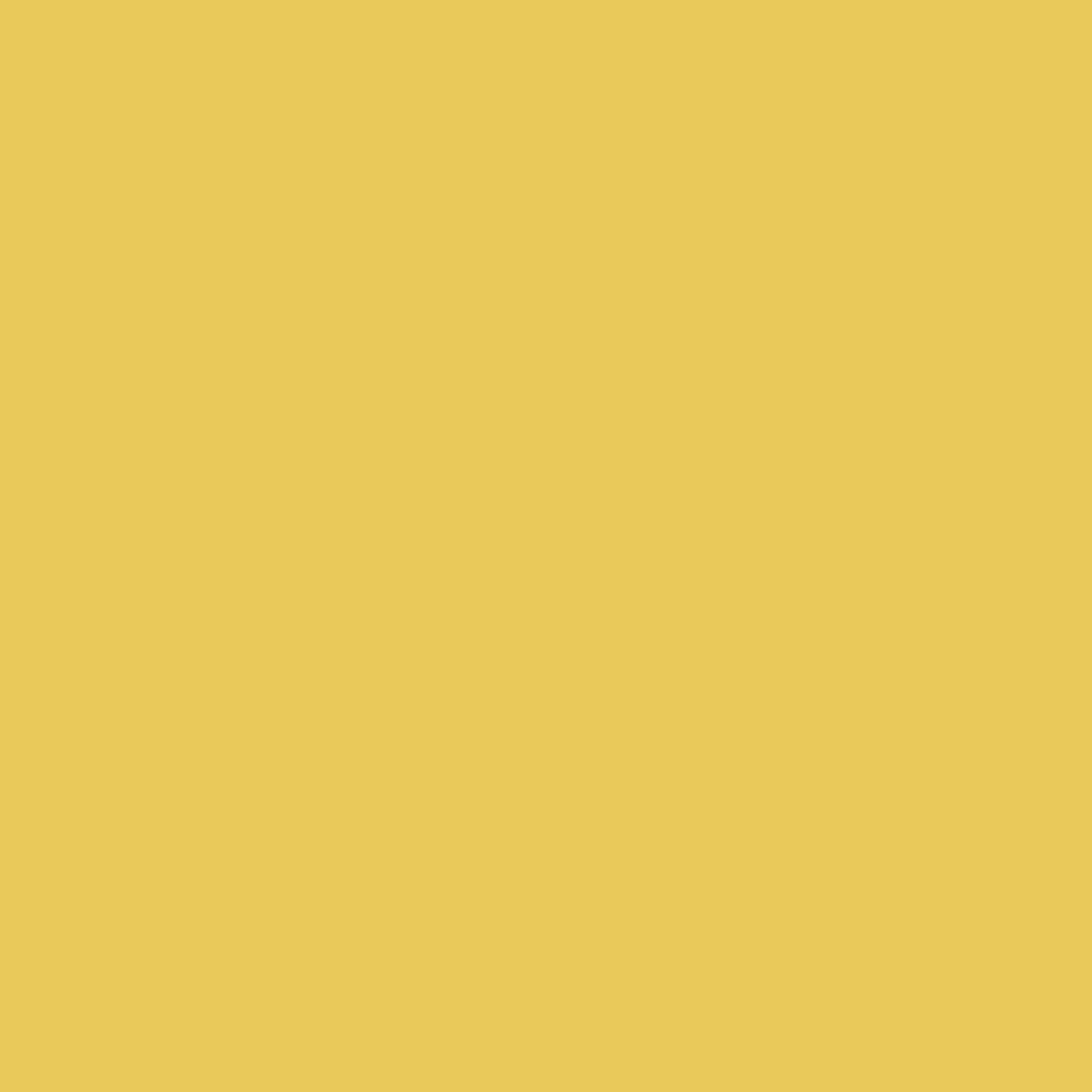 Rosco E Colour 5336 Aztec Gold 21 X 24 102353362124