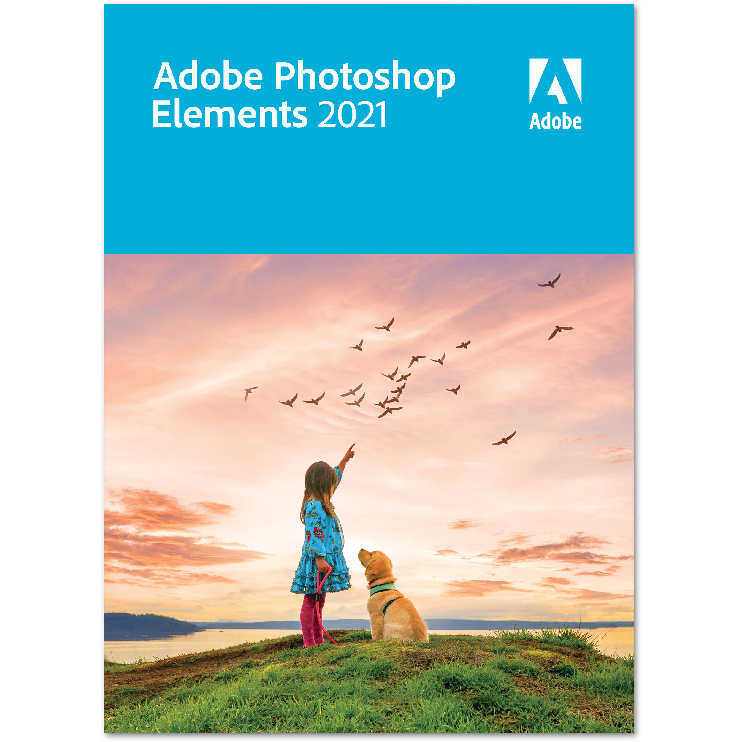 adobe update photoshop elements for mac