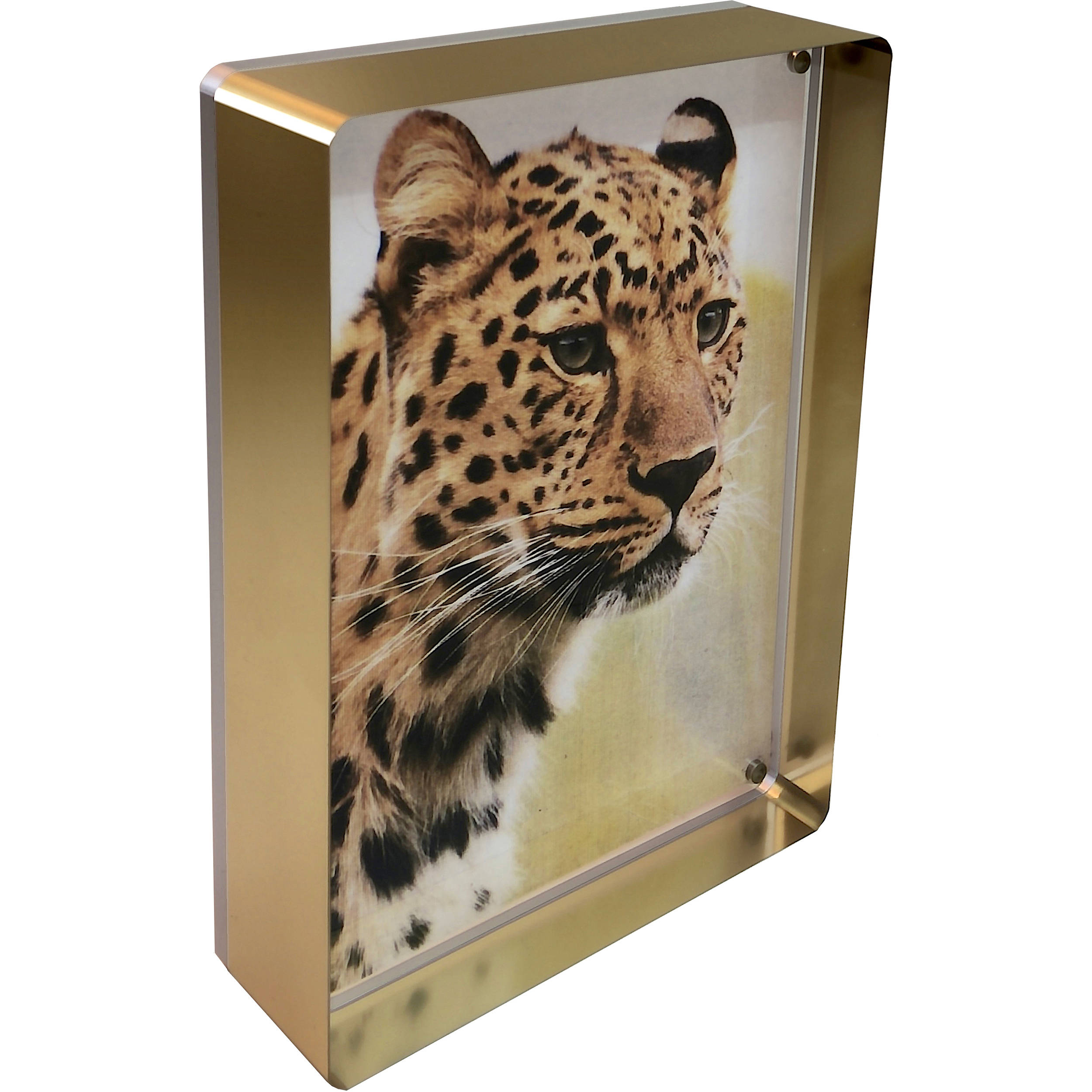 Canetti Design Group - Magnet Lucite Frame - 5x7