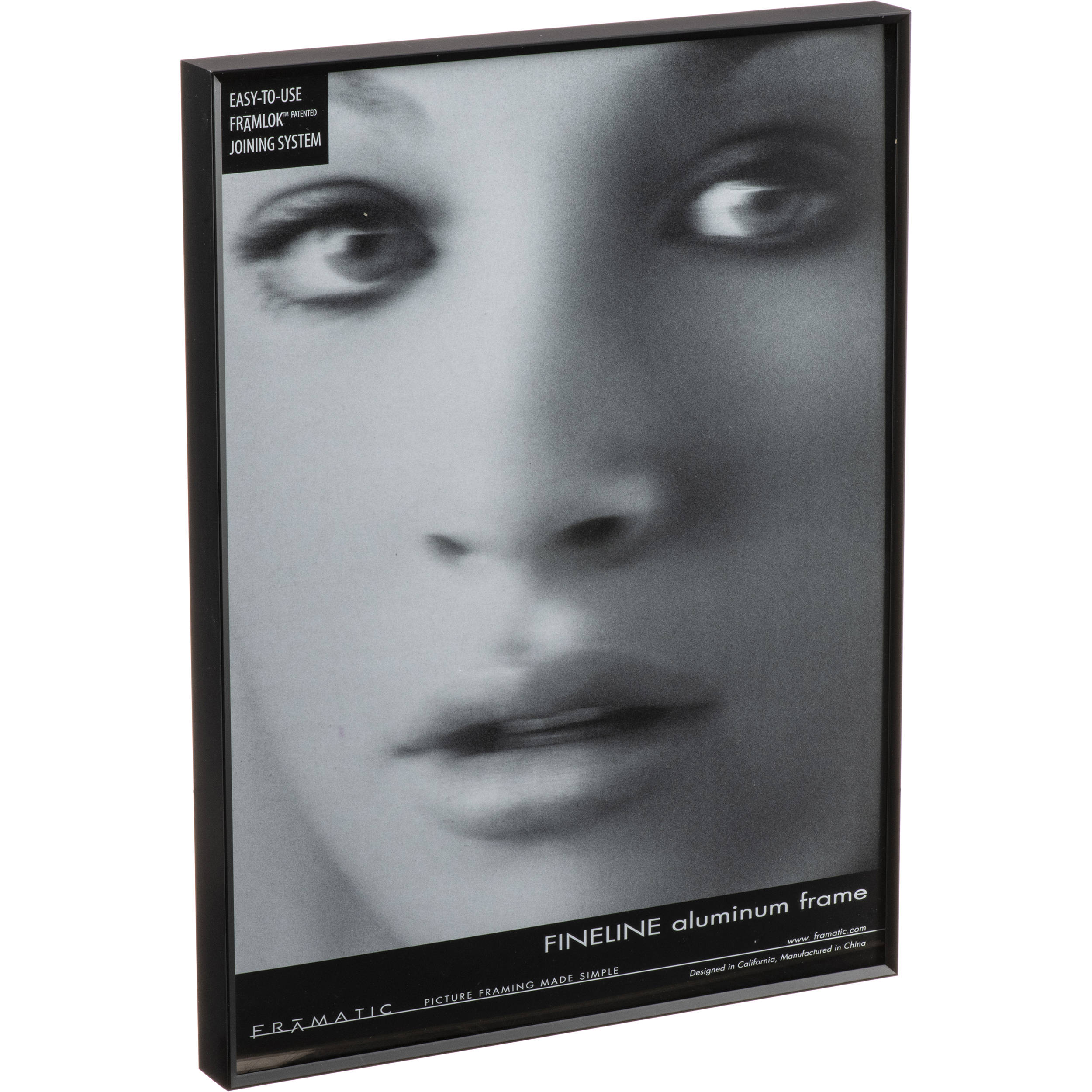 MCS Framatic Fineline Aluminum Frame with 18 x 24" Glass 300630
