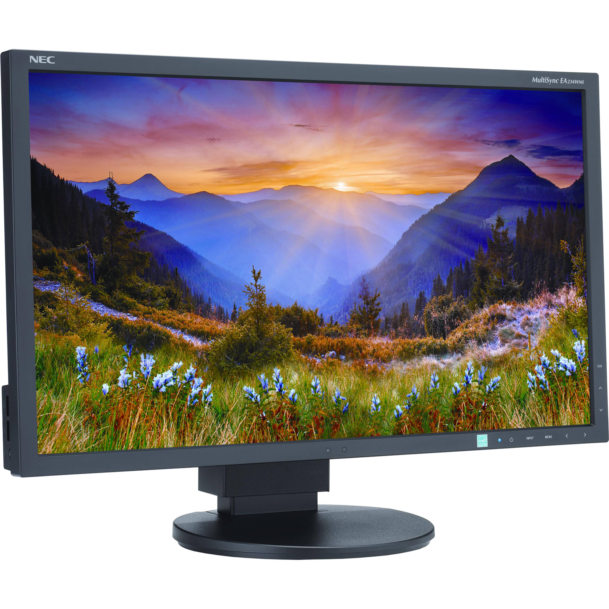 LED Backlit LCD Monitor EA234WMI-BK 