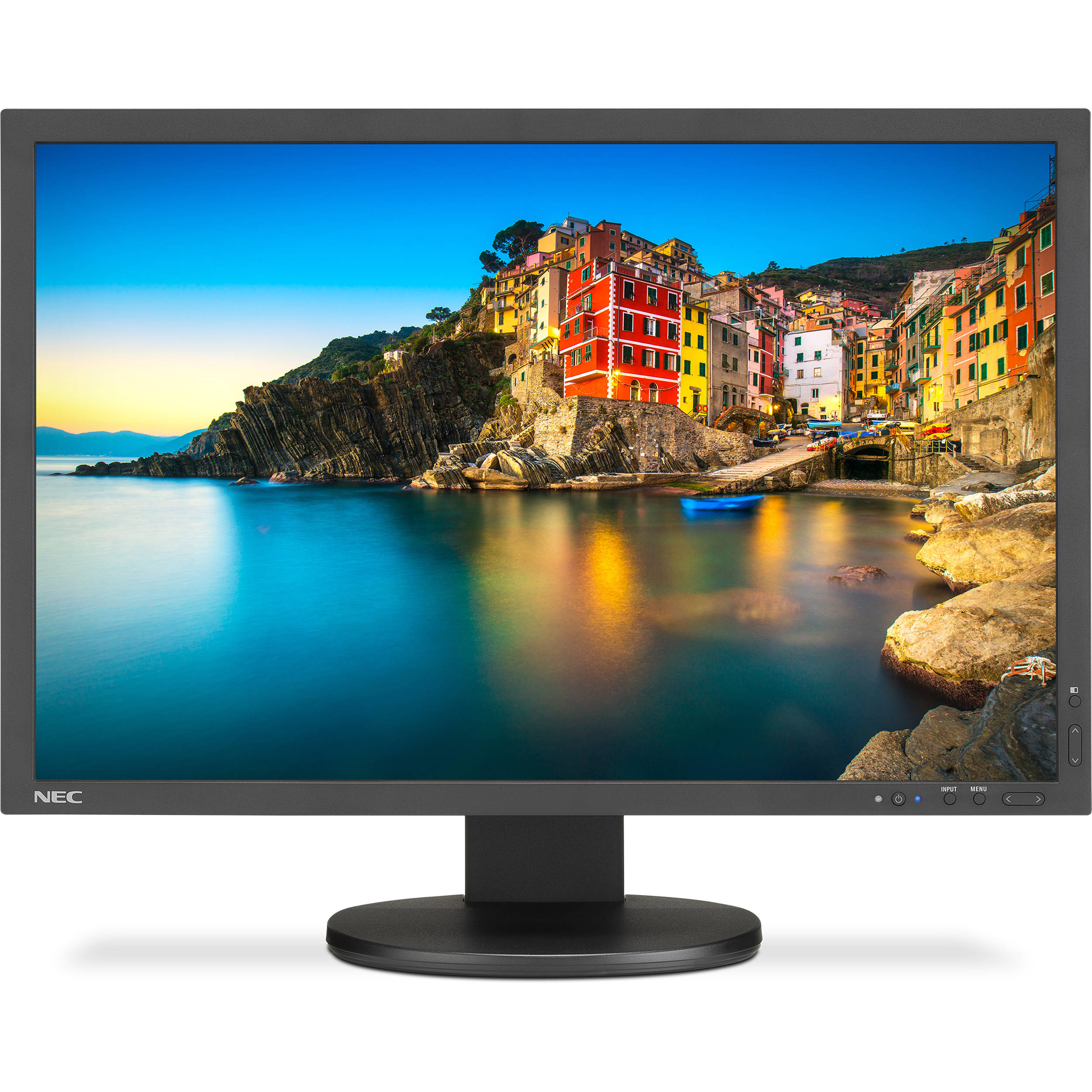 NEC P243W-BK Professional sRGB Gamut 24 