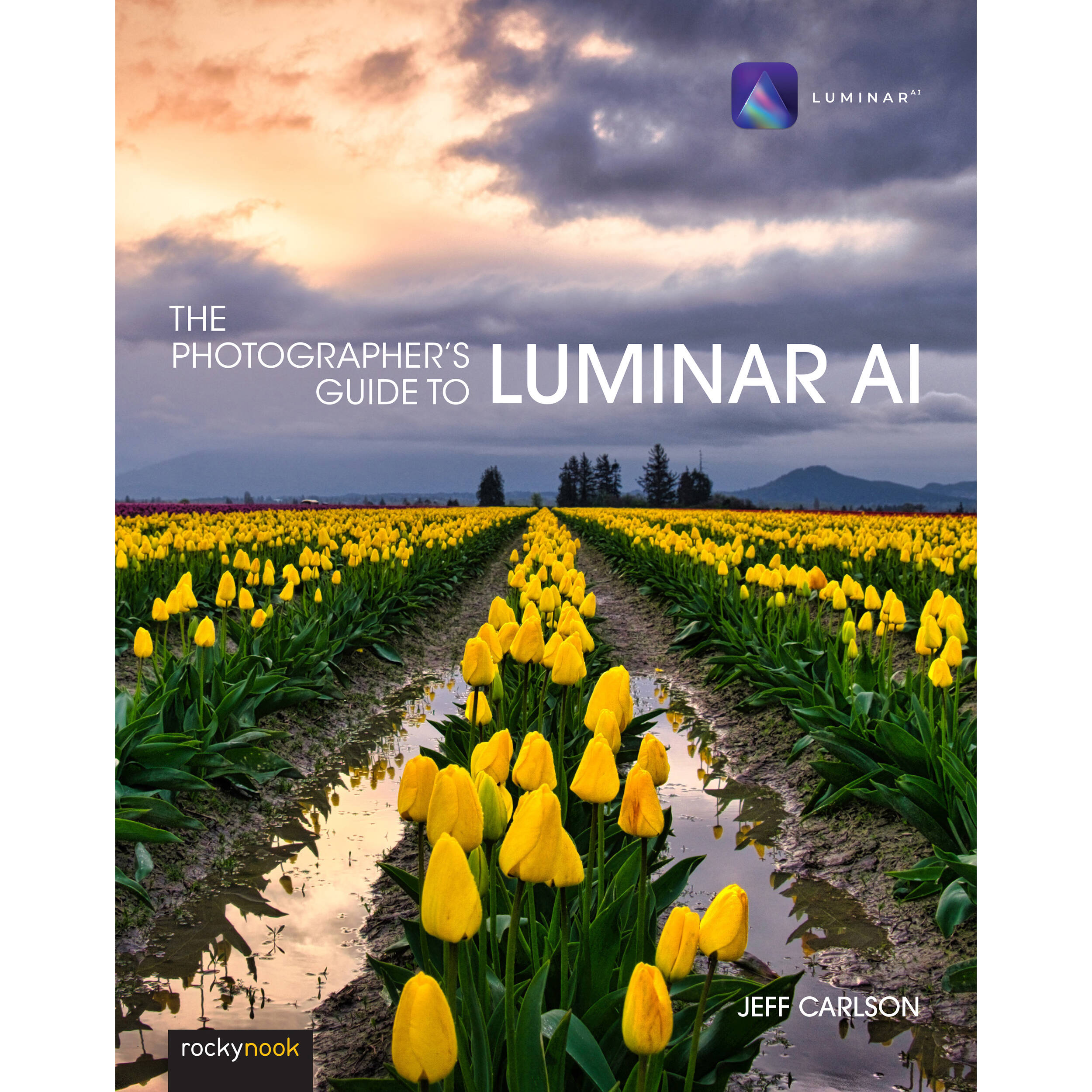 Rocky Nook The Photographer s Guide To Luminar AI 9781681987873