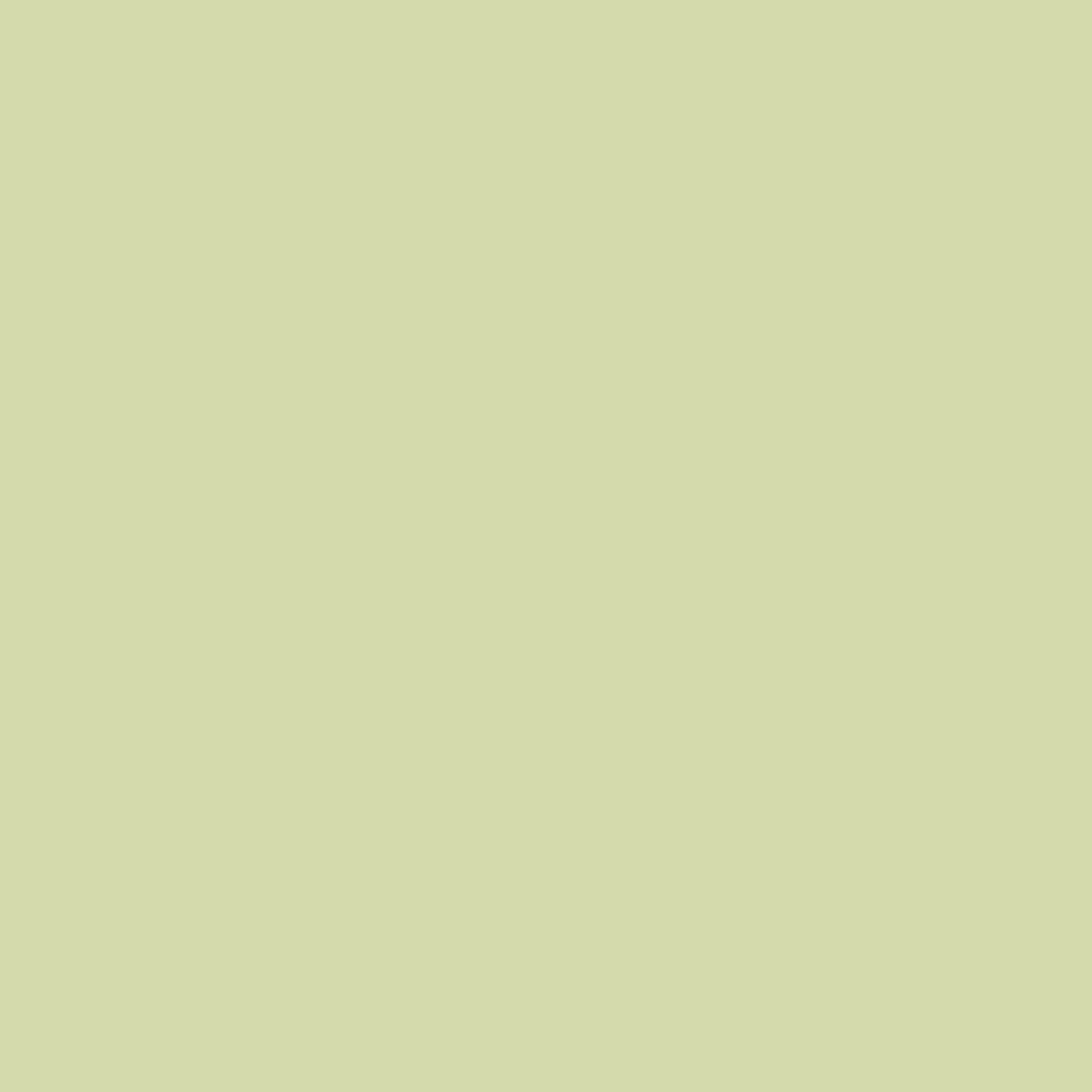 Savage Widetone Seamless Background Paper 231253 B&H