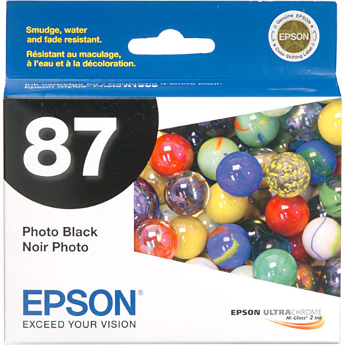 Epson 87 Photo Black Ink Cartridge 
