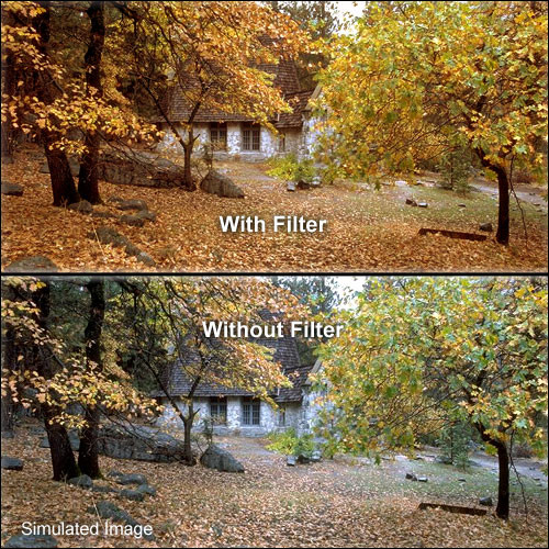 LEE Filters Combination 81B (Light Amber) and CC10R (Red)