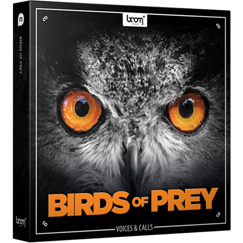 boom LIBRARY BIRDS OF PREY (Download) 11-30596 B&H Photo Video