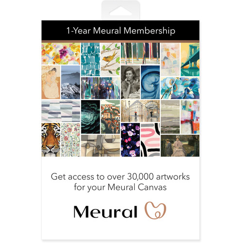 Meural Annual Membership Card for Digital Frames MCMYA10000S