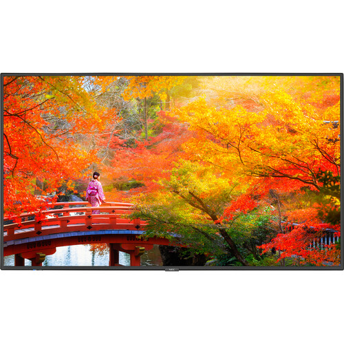 NEC MultiSync MA 49\