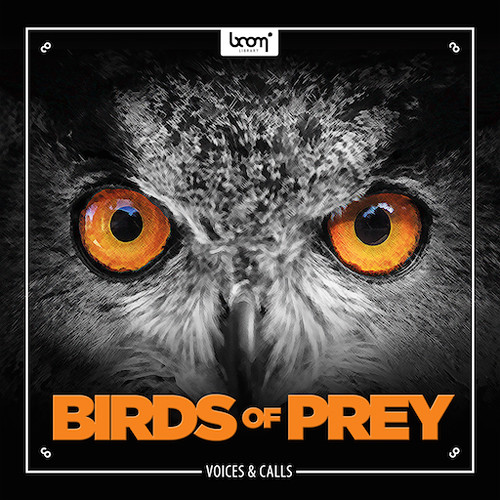 Sound Ideas Birds of Prey - Sound Effects SS-BIRDS-BOOM 2448 DN