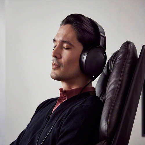 Compare Sony MDR-Z1R vs Sennheiser HD 