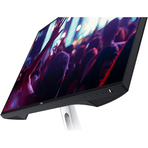 IPS Monitor vs Dell P2419H 23.8 
