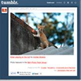 B&H on Tumblr